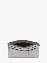 Porte-cartes Etincelle Iris�e Cuir Etrier Argent etincelle irisee EETI5004-vue-porte