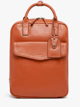 Sac � Dos Business Flandres 1 Compartiment Cuir Etrier Orange flandres EFLA8271
